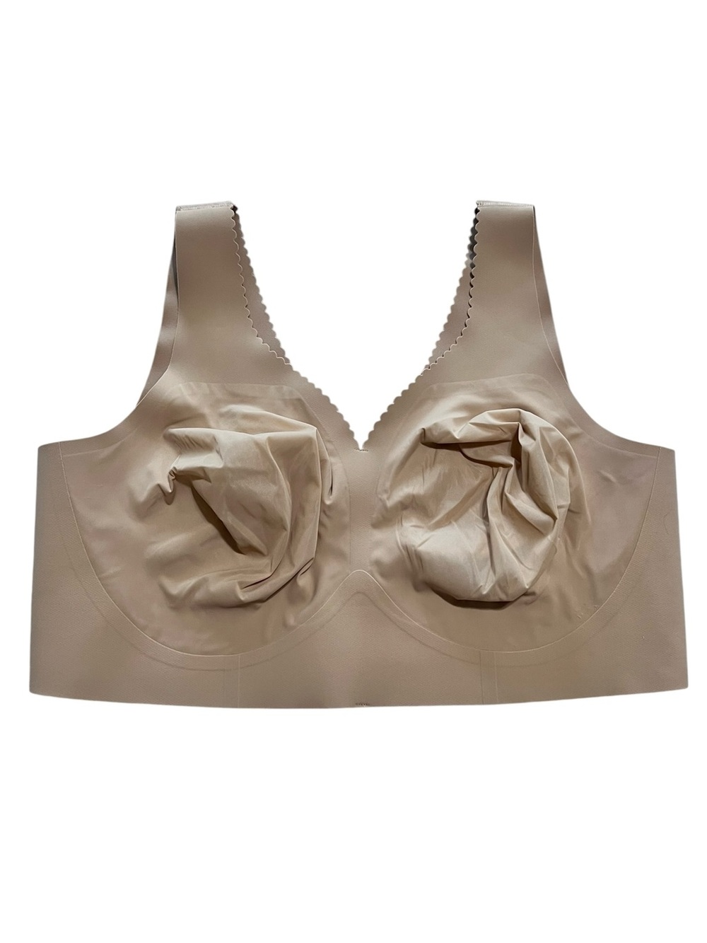 Evelyn & Bobbie The Defy Bra Size 3XL